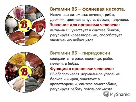 Значение витамина креатина для организма