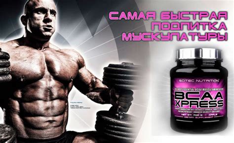 Значение витамина BCAA для здоровья