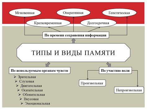 Значение встроенной памяти и особенности ее управления в устройствах