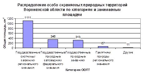 Значение защиты от солнца в сохранении экологического равновесия