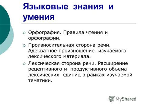 Значение знания объема лексического фонда родного языка