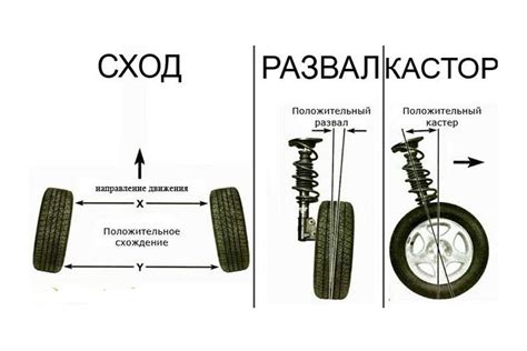 Значение и местоположение показателя движения назад автомобиля и его значимость