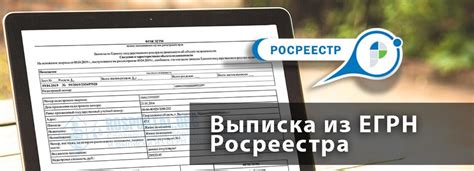 Значение и назначение документа о зарегистрированных объектах недвижимости