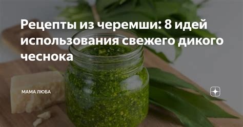 Значение и необходимость высушивания свежего чеснока в кулинарии