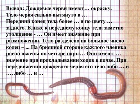 Значение и применение механического червя в террариуме