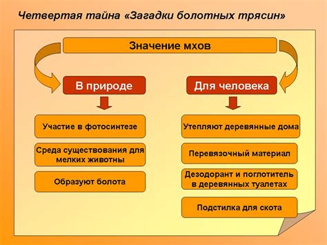 Значение и роль массы в ориентации области Некст