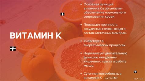 Значение и функции витамина К