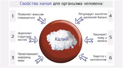 Значение калия для организма