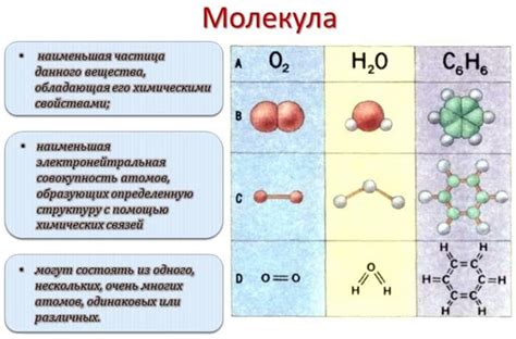 Значение наличия основных элементов в структуре молекулы