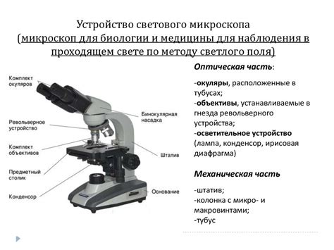 Значение оптического двухлучепреломляющего микроскопа в научных исследованиях биологии и медицины