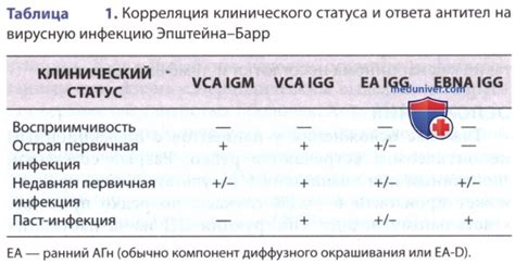 Значение положительного результата VCA-IgM на вирус Эпштейна-Барр