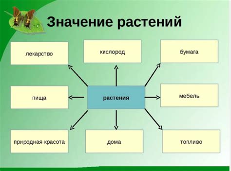 Значение растения в постапокалиптическом мире