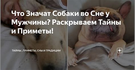 Значение символа "мелочь" во сне