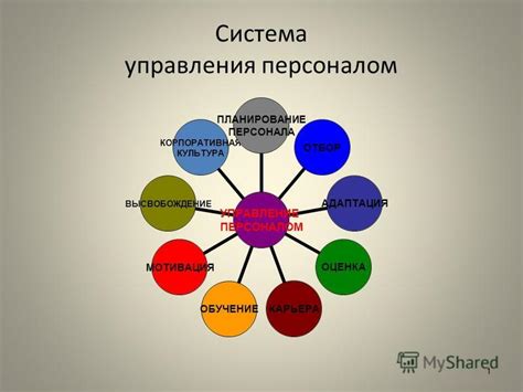 Значение системы управления персоналом и структурирования организации