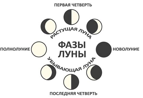 Значение убывающей луны в садоводстве: природный феномен и его влияние на растения