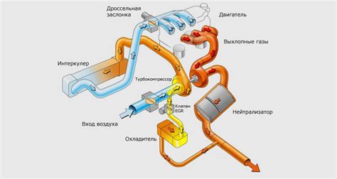 Значение устройства рециркуляции отработанных газов в автомобиле Газон Некст