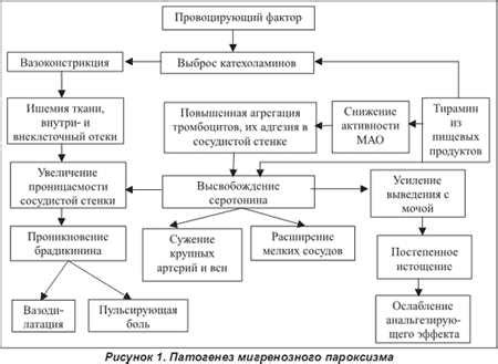 Значение эко и его взаимосвязь с белковым рационом