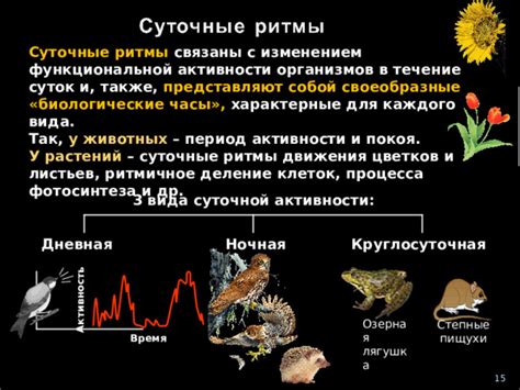 Значимость беления определенных растений в период осенней активности