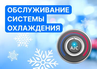 Значимость бесперебойной работы двигателя и комфорта водителя в передней части автомобиля 