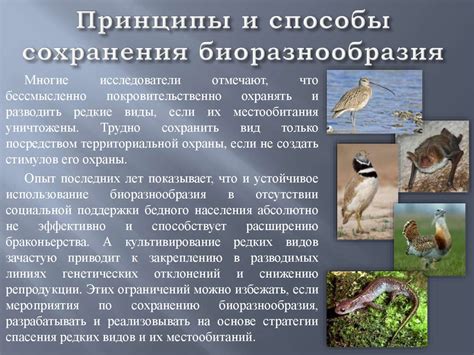 Значимость биоразнообразия и способы его сохранения