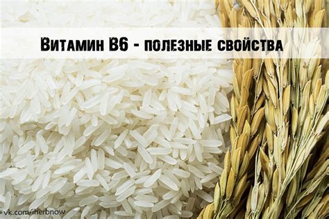 Значимость витамина B6 для здоровья и функции организма: