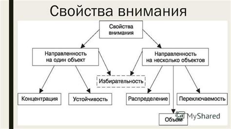 Значимость внимания в отношениях