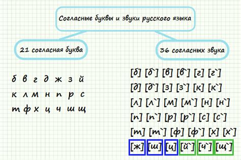 Значимость группы твёрдых согласных в языке