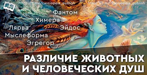 Значимость и необходимость оформления ОСАГО: понимание сущности и важности этого вида страхования