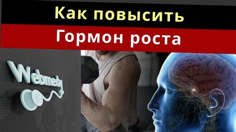 Значимость качественного отдыха для секреции гормона роста