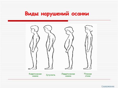 Значимость осанка проверка по физкультуре для каждого человека 