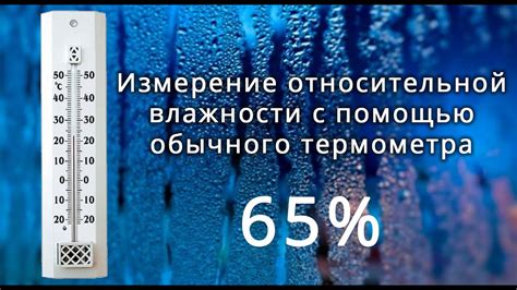 Значимость поддержания оптимального уровня влажности в пространстве для самых маленьких