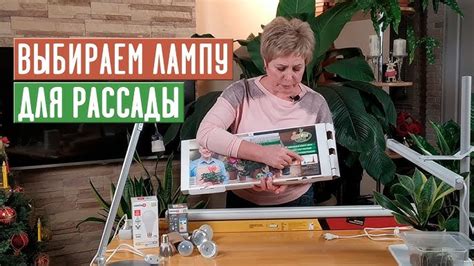 Значимость поддержки оптимального уровня освещения для здоровья растений