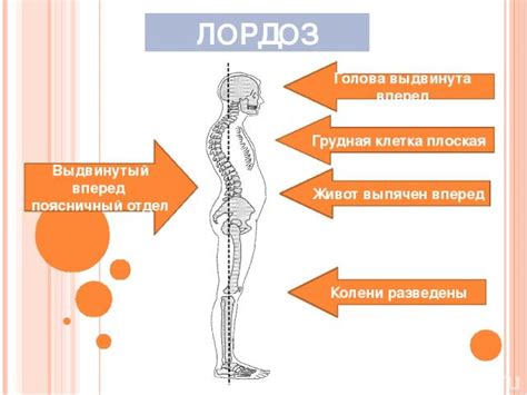 Значимость правильной осанки после 30 лет и ее воздействие на общее состояние организма