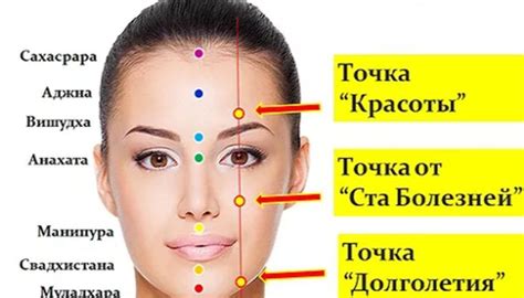 Значимость правильной позиционировки емкостей на теле для достижения предпочитаемого эффекта