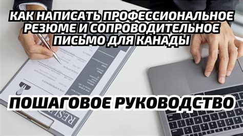 Значимость практического опыта и стажировок в процессе образования