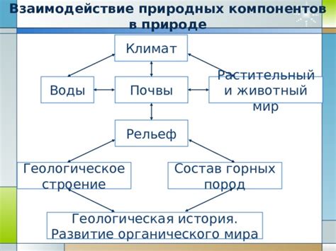 Значимость природных и органических компонентов в питании кошек