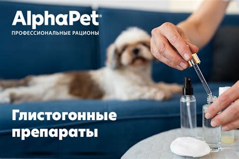 Значимость проведения процедуры депаразитации у молоденького питомца