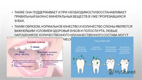 Значимость слюны для здоровья полости рта и системы пищеварения