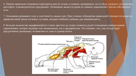 Значимость соблюдения правильной ситуации тела