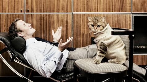 Значимость сухой пищи для благополучия кота: влияние на состояние питомца