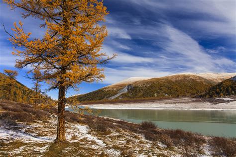 Золотая осень на Алтае