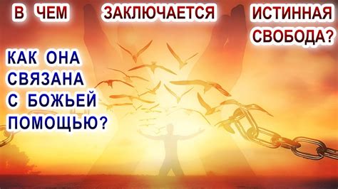 Идеал гармонии: истинная свобода без обязанностей