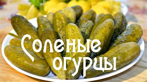 Идеи для применения безгоречных огурцов в разнообразных кулинарных деликатесах