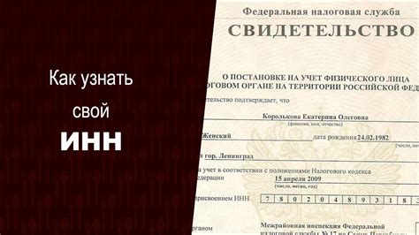 Идентификационный номер налогоплательщика: важность и польза для граждан