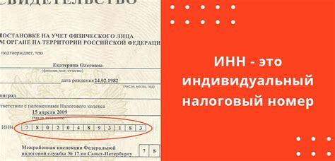 Идентификационный номер налогоплательщика: что это и как его получить