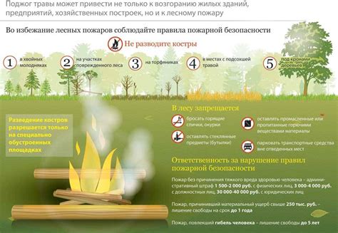 Идентификация и профилактика насекомого, разрушающего домашнюю древесину: основные меры