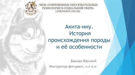 Идентификация образовательного происхождения через лингвистические особенности говора