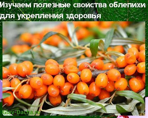 Идея №5: Косметические свойства экстракта облепихи