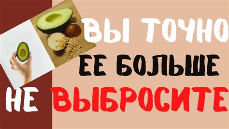 Извлекая выгоду из ореха авокадо: почему это важно для поддержания здоровья