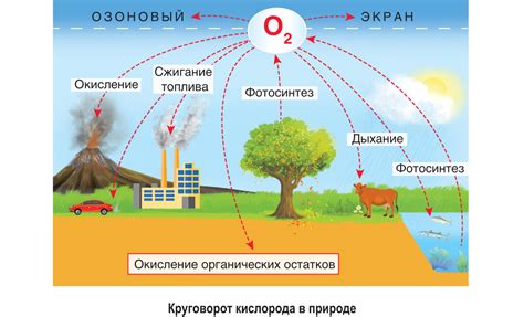 Извлечение веществ у микроорганизмов и простейших форм жизни